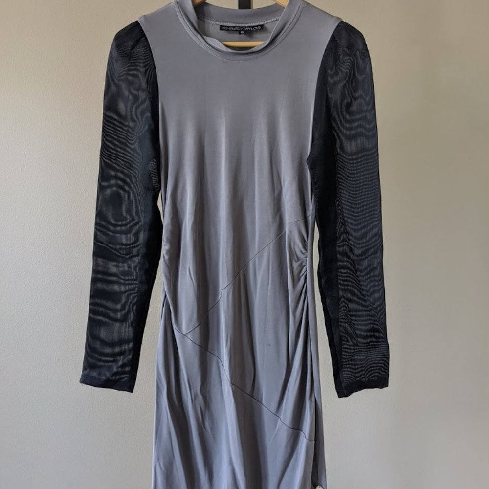 Kimberly Taylor jersey dress with mesh sleeves